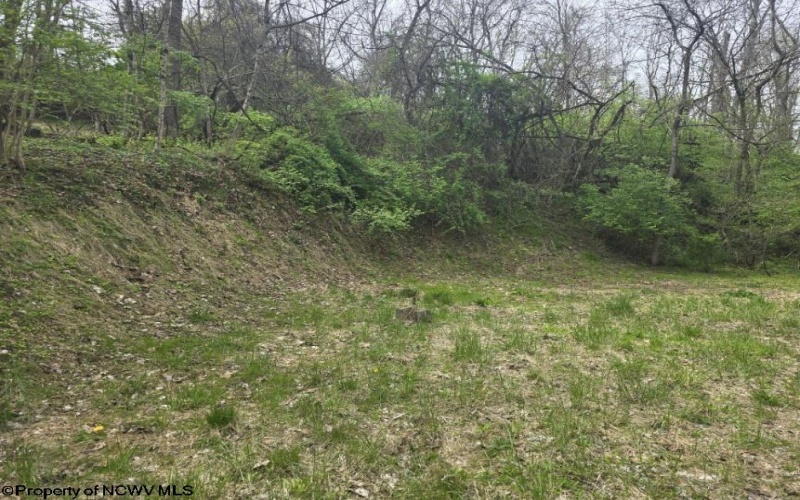 2024 Purinton Street, Morgantown, West Virginia 26505, ,Lots/land,For Sale,Purinton,10164209 2024 Purinton Street, Morgantown, West Virginia 26505, ,Lots/land,For Sale,Purinton,10164209