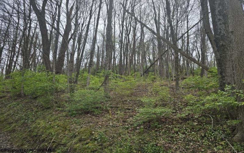 2024 Purinton Street, Morgantown, West Virginia 26505, ,Lots/land,For Sale,Purinton,10164209 2024 Purinton Street, Morgantown, West Virginia 26505, ,Lots/land,For Sale,Purinton,10164209