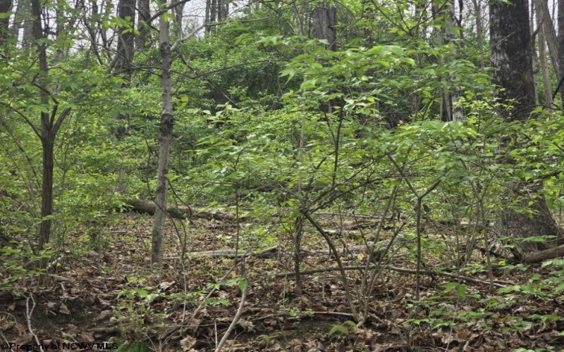 2024 Purinton Street, Morgantown, West Virginia 26505, ,Lots/land,For Sale,Purinton,10164209 2024 Purinton Street, Morgantown, West Virginia 26505, ,Lots/land,For Sale,Purinton,10164209