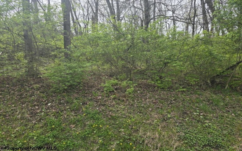 2024 Purinton Street, Morgantown, West Virginia 26505, ,Lots/land,For Sale,Purinton,10164209 2024 Purinton Street, Morgantown, West Virginia 26505, ,Lots/land,For Sale,Purinton,10164209