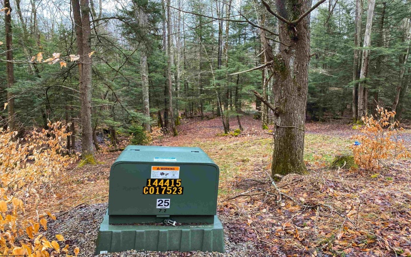 22 Glady Fork Acres, Glady, West Virginia 26268, ,Lots/land,For Sale,Glady Fork,10164211 22 Glady Fork Acres, Glady, West Virginia 26268, ,Lots/land,For Sale,Glady Fork,10164211