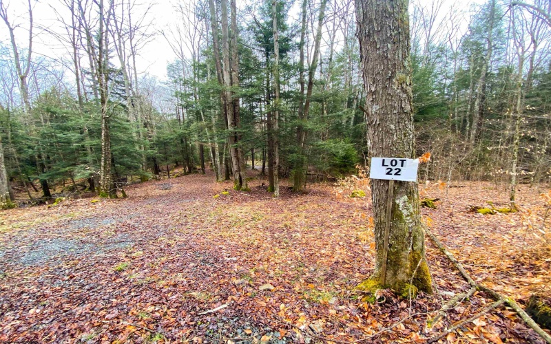 22 Glady Fork Acres, Glady, West Virginia 26268, ,Lots/land,For Sale,Glady Fork,10164211 22 Glady Fork Acres, Glady, West Virginia 26268, ,Lots/land,For Sale,Glady Fork,10164211