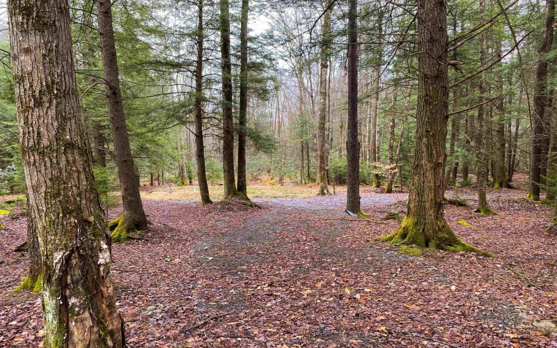 22 Glady Fork Acres, Glady, West Virginia 26268, ,Lots/land,For Sale,Glady Fork,10164211 22 Glady Fork Acres, Glady, West Virginia 26268, ,Lots/land,For Sale,Glady Fork,10164211