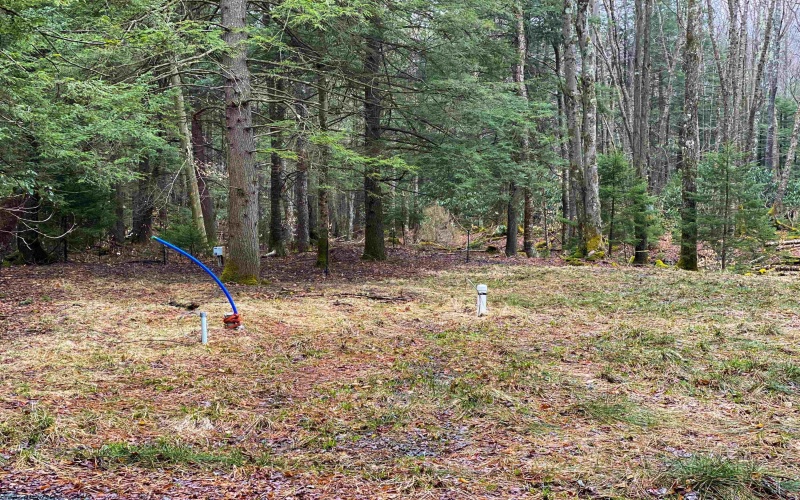 22 Glady Fork Acres, Glady, West Virginia 26268, ,Lots/land,For Sale,Glady Fork,10164211 22 Glady Fork Acres, Glady, West Virginia 26268, ,Lots/land,For Sale,Glady Fork,10164211