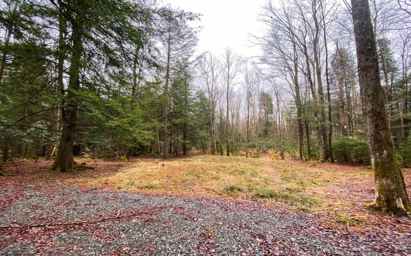 22 Glady Fork Acres, Glady, West Virginia 26268, ,Lots/land,For Sale,Glady Fork,10164211 22 Glady Fork Acres, Glady, West Virginia 26268, ,Lots/land,For Sale,Glady Fork,10164211