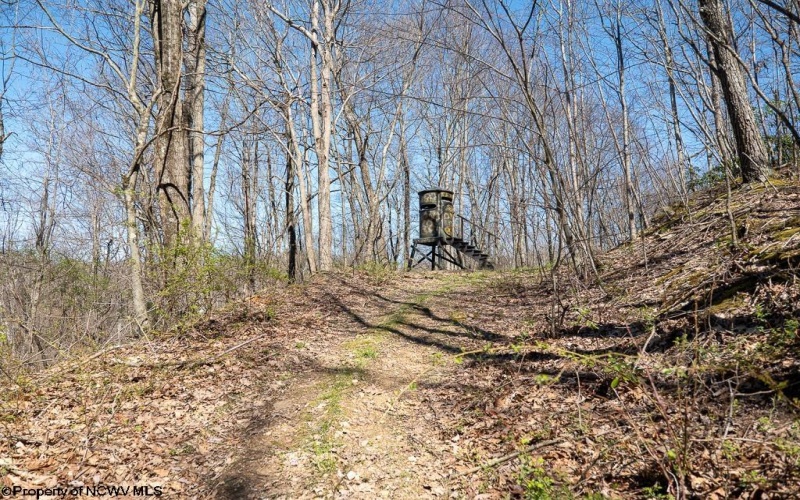 Lot 1 Fairfax Mine Road, Kingwood, West Virginia 26537, ,Lots/land,For Sale,Fairfax Mine,10164213