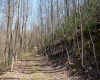 Lot 1 Fairfax Mine Road, Kingwood, West Virginia 26537, ,Lots/land,For Sale,Fairfax Mine,10164213