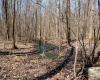 Lot 1 Fairfax Mine Road, Kingwood, West Virginia 26537, ,Lots/land,For Sale,Fairfax Mine,10164213