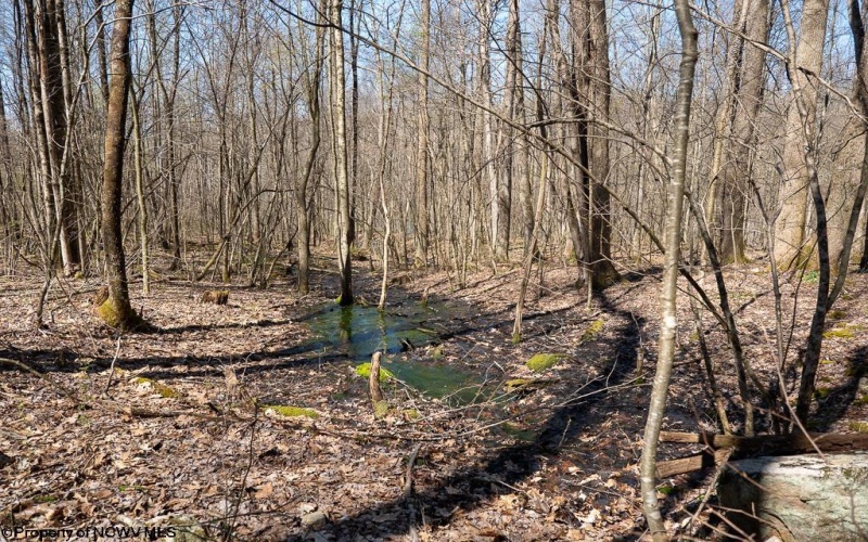 Lot 1 Fairfax Mine Road, Kingwood, West Virginia 26537, ,Lots/land,For Sale,Fairfax Mine,10164213