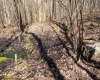 Lot 1 Fairfax Mine Road, Kingwood, West Virginia 26537, ,Lots/land,For Sale,Fairfax Mine,10164213