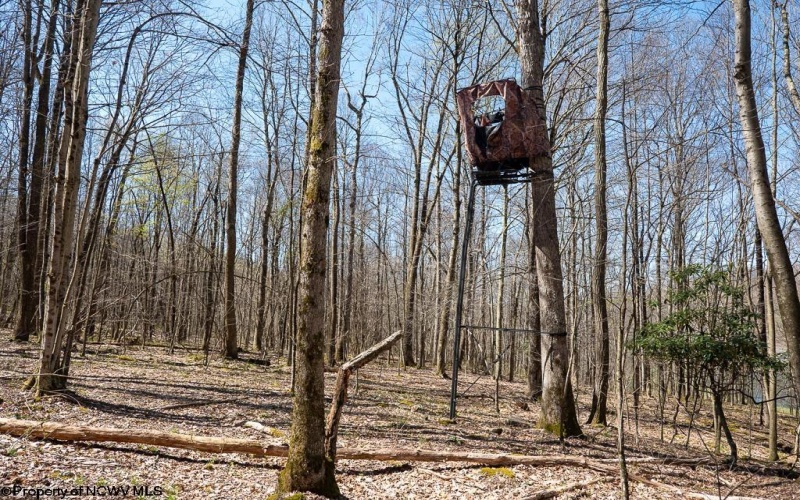 Lot 1 Fairfax Mine Road, Kingwood, West Virginia 26537, ,Lots/land,For Sale,Fairfax Mine,10164213