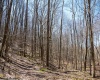 Lot 1 Fairfax Mine Road, Kingwood, West Virginia 26537, ,Lots/land,For Sale,Fairfax Mine,10164213