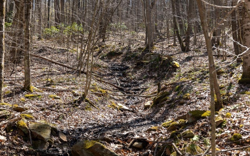 Lot 1 Fairfax Mine Road, Kingwood, West Virginia 26537, ,Lots/land,For Sale,Fairfax Mine,10164213