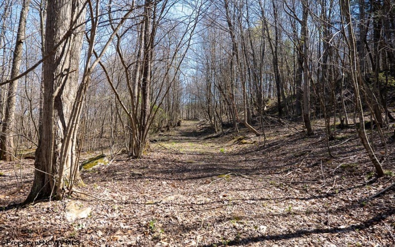 Lot 1 Fairfax Mine Road, Kingwood, West Virginia 26537, ,Lots/land,For Sale,Fairfax Mine,10164213