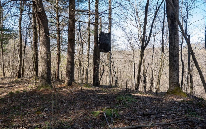 Lot 1 Fairfax Mine Road, Kingwood, West Virginia 26537, ,Lots/land,For Sale,Fairfax Mine,10164213