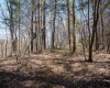 Lot 1 Fairfax Mine Road, Kingwood, West Virginia 26537, ,Lots/land,For Sale,Fairfax Mine,10164213