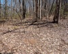 Lot 1 Fairfax Mine Road, Kingwood, West Virginia 26537, ,Lots/land,For Sale,Fairfax Mine,10164213