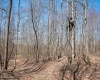 Lot 1 Fairfax Mine Road, Kingwood, West Virginia 26537, ,Lots/land,For Sale,Fairfax Mine,10164213