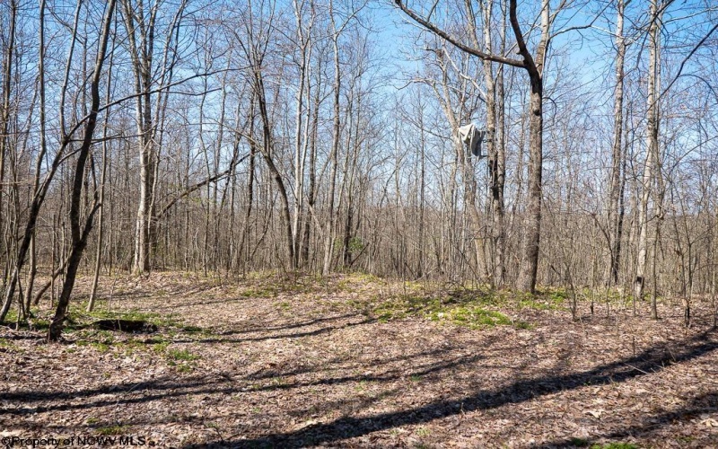 Lot 1 Fairfax Mine Road, Kingwood, West Virginia 26537, ,Lots/land,For Sale,Fairfax Mine,10164213