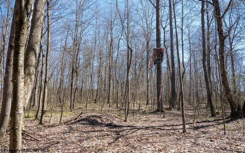 Lot 1 Fairfax Mine Road, Kingwood, West Virginia 26537, ,Lots/land,For Sale,Fairfax Mine,10164213