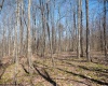 Lot 1 Fairfax Mine Road, Kingwood, West Virginia 26537, ,Lots/land,For Sale,Fairfax Mine,10164213