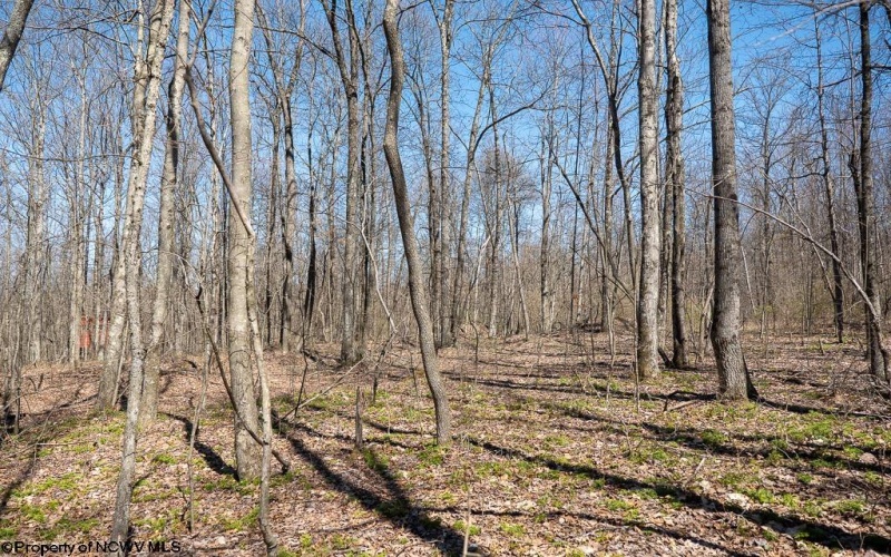 Lot 1 Fairfax Mine Road, Kingwood, West Virginia 26537, ,Lots/land,For Sale,Fairfax Mine,10164213