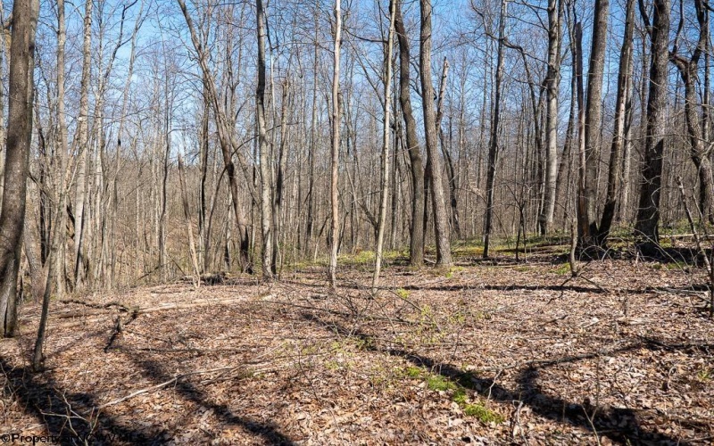 Lot 1 Fairfax Mine Road, Kingwood, West Virginia 26537, ,Lots/land,For Sale,Fairfax Mine,10164213