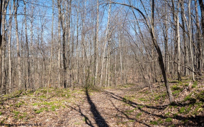 Lot 1 Fairfax Mine Road, Kingwood, West Virginia 26537, ,Lots/land,For Sale,Fairfax Mine,10164213