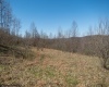 Lot 1 Fairfax Mine Road, Kingwood, West Virginia 26537, ,Lots/land,For Sale,Fairfax Mine,10164213