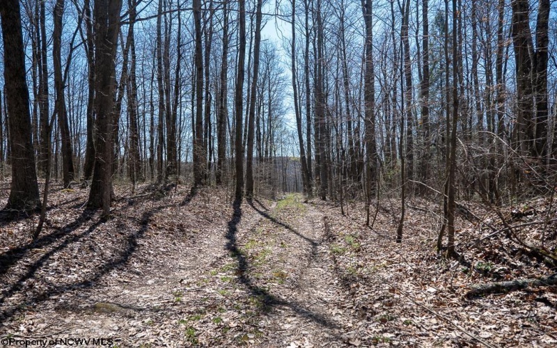 Lot 1 Fairfax Mine Road, Kingwood, West Virginia 26537, ,Lots/land,For Sale,Fairfax Mine,10164213