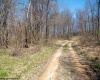 Lot 1 Fairfax Mine Road, Kingwood, West Virginia 26537, ,Lots/land,For Sale,Fairfax Mine,10164213
