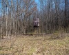 Lot 1 Fairfax Mine Road, Kingwood, West Virginia 26537, ,Lots/land,For Sale,Fairfax Mine,10164213
