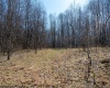Lot 1 Fairfax Mine Road, Kingwood, West Virginia 26537, ,Lots/land,For Sale,Fairfax Mine,10164213