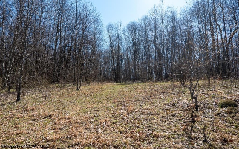 Lot 1 Fairfax Mine Road, Kingwood, West Virginia 26537, ,Lots/land,For Sale,Fairfax Mine,10164213