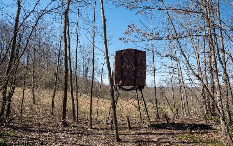 Lot 1 Fairfax Mine Road, Kingwood, West Virginia 26537, ,Lots/land,For Sale,Fairfax Mine,10164213