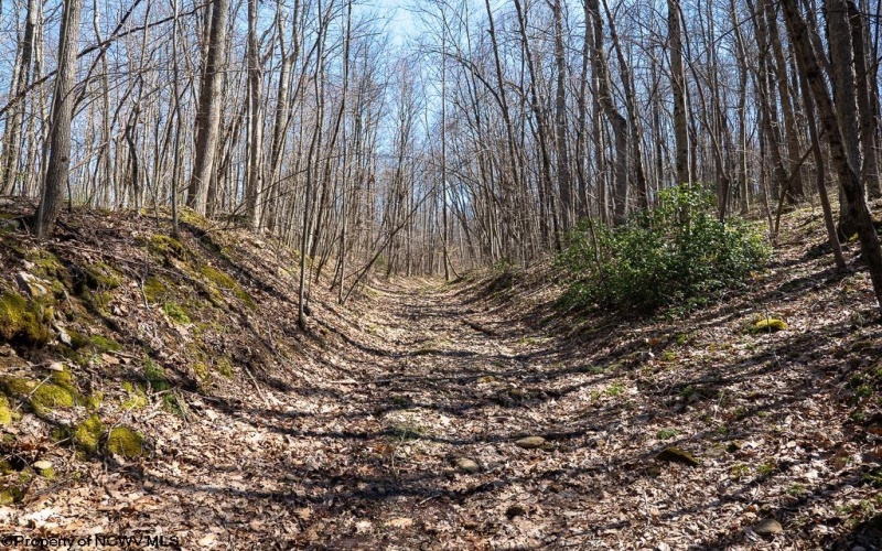 Lot 1 Fairfax Mine Road, Kingwood, West Virginia 26537, ,Lots/land,For Sale,Fairfax Mine,10164213