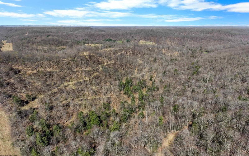 4231 Canaan Road, Rock Cave, West Virginia 26234, 4 Bedrooms Bedrooms, 7 Rooms Rooms,2 BathroomsBathrooms,Single Family Detached,For Sale,Canaan,10164217 4231 Canaan Road, Rock Cave, West Virginia 26234, 4 Bedrooms Bedrooms, 7 Rooms Rooms,2 BathroomsBathrooms,Single Family Detached,For Sale,Canaan,10164217