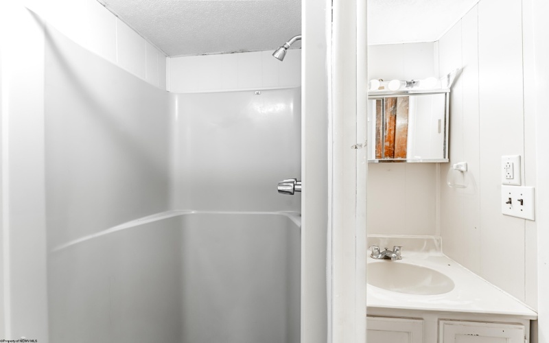 45 Logan Avenue, Morgantown, West Virginia 26501, 4 Bedrooms Bedrooms, 8 Rooms Rooms,3 BathroomsBathrooms,Single Family Detached,For Sale,Logan,10164212