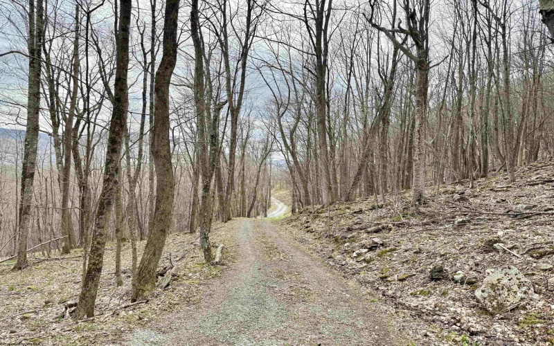 155 Meadows Road East, Harman, West Virginia 26270, 3 Bedrooms Bedrooms, 9 Rooms Rooms,2 BathroomsBathrooms,Single Family Detached,For Sale,Meadows Road,10164223