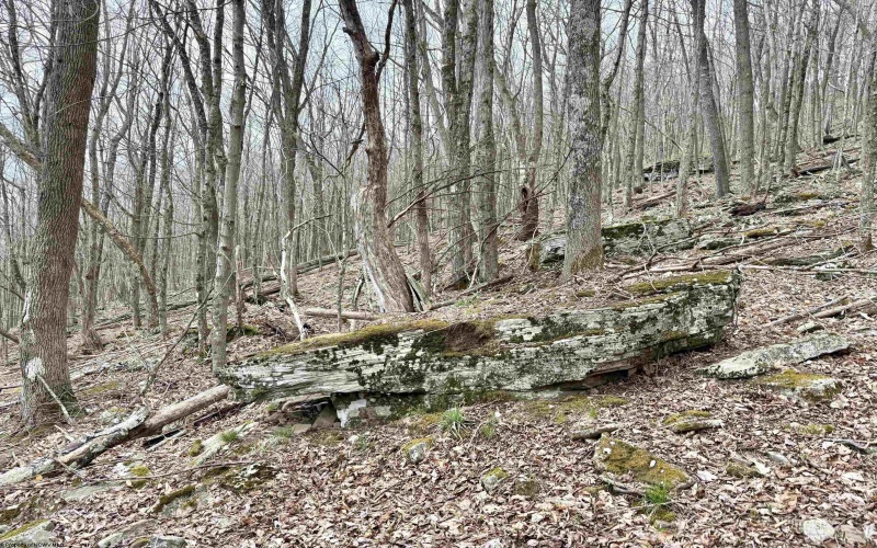 155 Meadows Road East, Harman, West Virginia 26270, 3 Bedrooms Bedrooms, 9 Rooms Rooms,2 BathroomsBathrooms,Single Family Detached,For Sale,Meadows Road,10164223