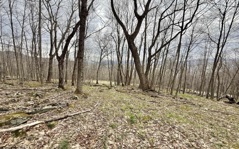 155 Meadows Road East, Harman, West Virginia 26270, 3 Bedrooms Bedrooms, 9 Rooms Rooms,2 BathroomsBathrooms,Single Family Detached,For Sale,Meadows Road,10164223