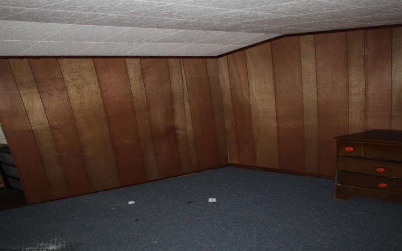 233 Kingfisher Road, Webster Springs, West Virginia 26288, 4 Bedrooms Bedrooms, 14 Rooms Rooms,1 BathroomBathrooms,Single Family Detached,For Sale,Kingfisher,10161515