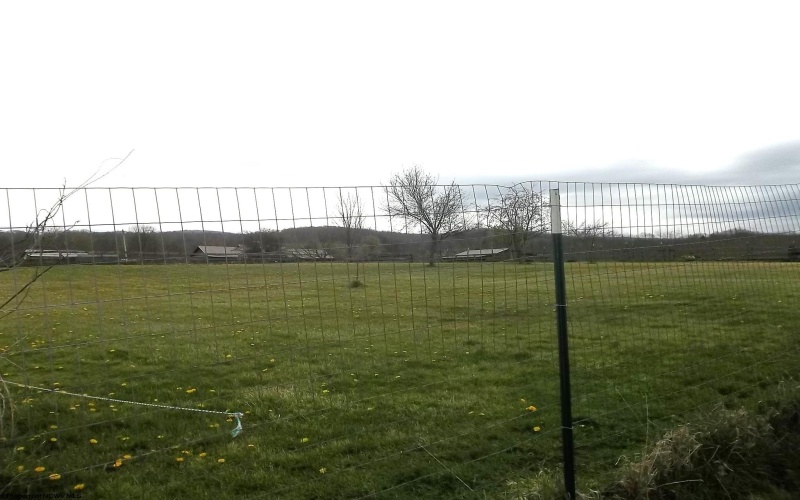 15 Blessings Abound Lane, Mabie, West Virginia 26278, 3 Bedrooms Bedrooms, 7 Rooms Rooms,1 BathroomBathrooms,Single Family Detached,For Sale,Blessings Abound,10164232