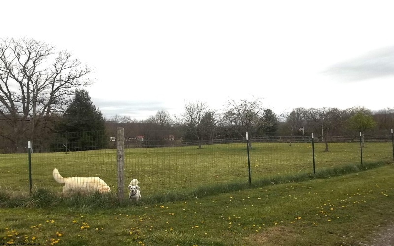 15 Blessings Abound Lane, Mabie, West Virginia 26278, 3 Bedrooms Bedrooms, 7 Rooms Rooms,1 BathroomBathrooms,Single Family Detached,For Sale,Blessings Abound,10164232