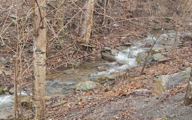 60 Annie Lane, Circleville, West Virginia 26804, 3 Bedrooms Bedrooms, 5 Rooms Rooms,2 BathroomsBathrooms,Single Family Detached,For Sale,Annie,10164239 60 Annie Lane, Circleville, West Virginia 26804, 3 Bedrooms Bedrooms, 5 Rooms Rooms,2 BathroomsBathrooms,Single Family Detached,For Sale,Annie,10164239