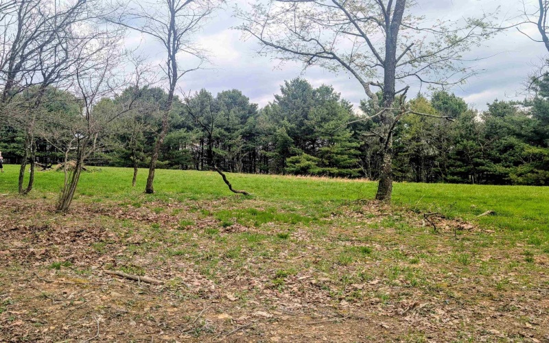 Lot 13 Sand Bank Road, Masontown, West Virginia 26542, ,Lots/land,For Sale,Sand Bank,10164245