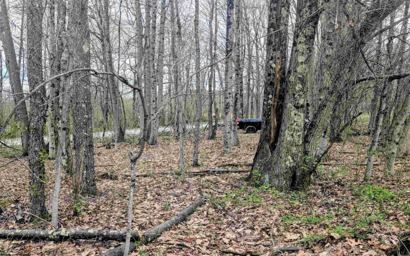 Lot 13 Sand Bank Road, Masontown, West Virginia 26542, ,Lots/land,For Sale,Sand Bank,10164245