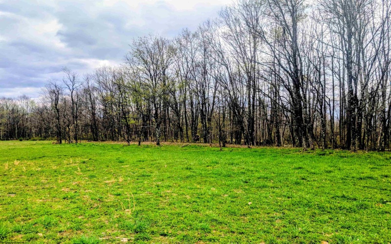 Lot 13 Sand Bank Road, Masontown, West Virginia 26542, ,Lots/land,For Sale,Sand Bank,10164245