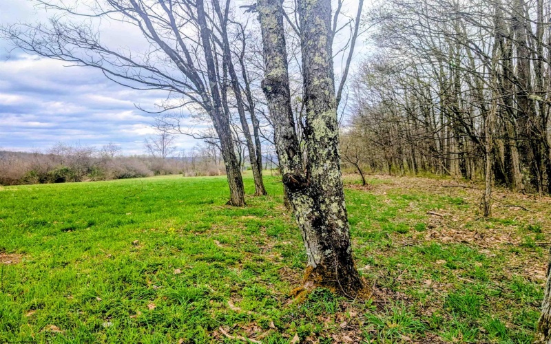Lot 13 Sand Bank Road, Masontown, West Virginia 26542, ,Lots/land,For Sale,Sand Bank,10164245