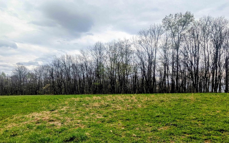 Lot 13 Sand Bank Road, Masontown, West Virginia 26542, ,Lots/land,For Sale,Sand Bank,10164245